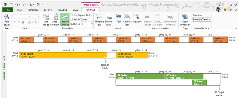 ms project multiple timelines for the same activity
